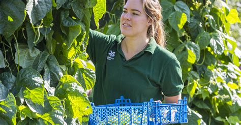 Calling All Green Thumbs This Richmond National Trust Site Is Looking