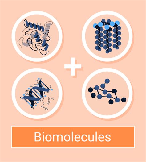 Structure Classification And Functions Of Carbohydrates