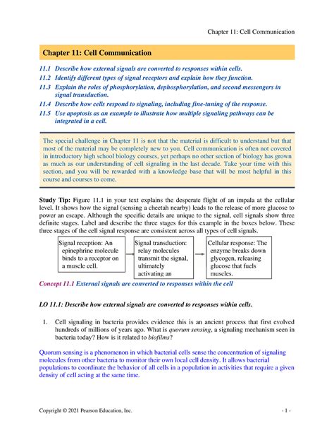 Chapter Copyright Pearson Education Inc Chapter