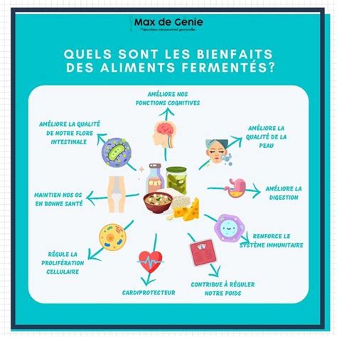 Quels sont les bienfaits des aliments fermentés Aliments fermentés