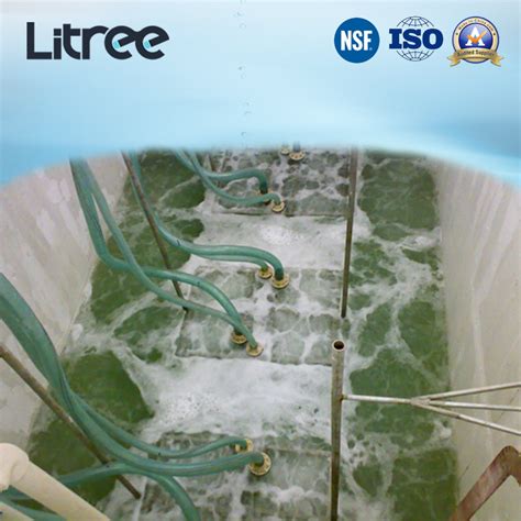 Litree Mbr Membrane System For Abattoir Wastewater Treatment Uf