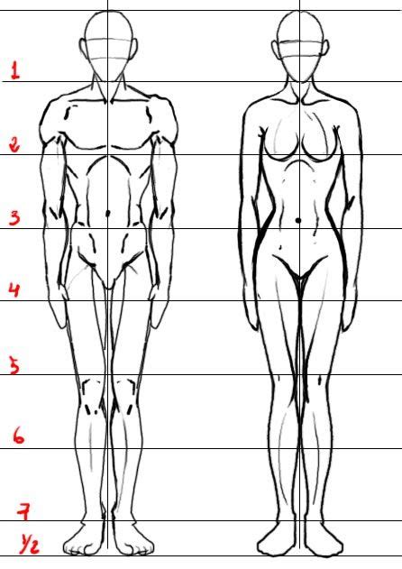 Proporción 7 cabezas proporcion perfecta modelado caras y figuras en