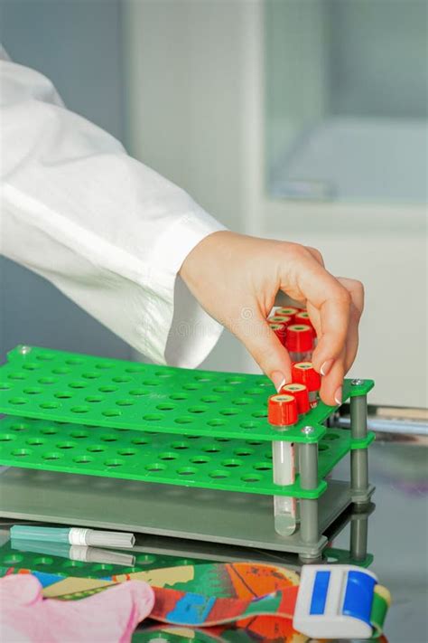 Technician Puts Test Tube To Rack Stock Image Image Of Biology Hand