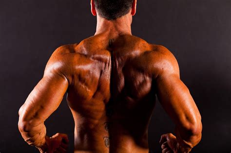 Flexion Movement