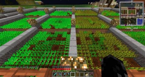 Qué Cosas Puedo Cultivar en un Huerto de Minecraft Mira Cómo Se Hace