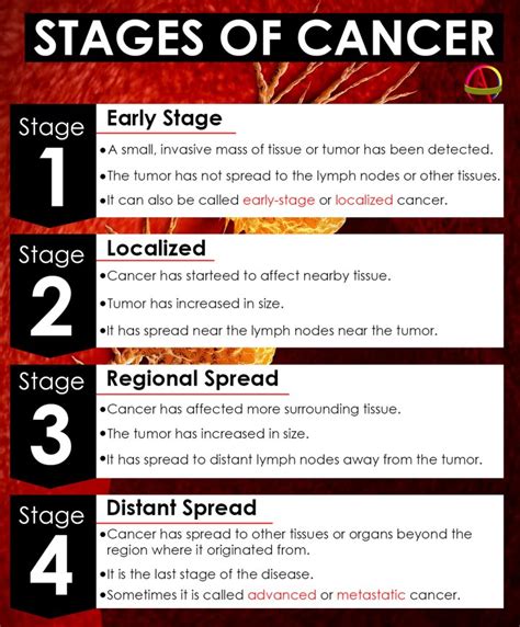 Infographic: Stages Of Cancer – AMCLA INCORPORATION