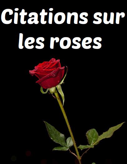 25 Citation Sur Les Roses 132709 Citation Sur Les Roses Et Les Femmes 人気のファッションスタイル