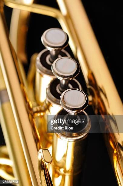 289 Trumpet Parts Stock Photos, High-Res Pictures, and Images - Getty ...