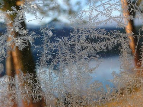 Gedicht Zum Winteranfang 2022 Einklang Harburg