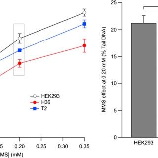 Comparison Of The MMS Induced DNA Damage Levels In HEK293 H36 And T2