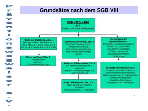 Ppt Sgb Viii Kjhg Kinder Und Jugendhilfegesetz Powerpoint