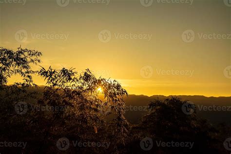 silhouette of bamboo trees during sunset 6333797 Stock Photo at Vecteezy