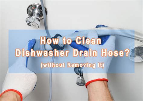 How To Clean And Unclog Dishwasher Drain Hose Without Removing It