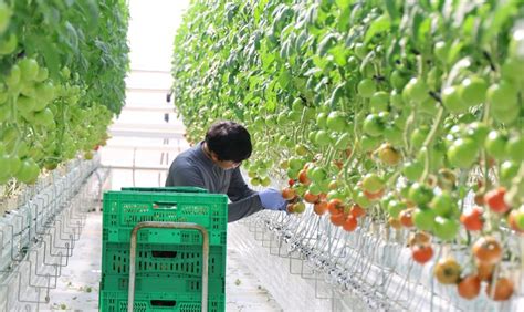 전남도 고흥 스마트팜 혁신밸리서 청년 농업인 자립 지원 파이낸셜뉴스