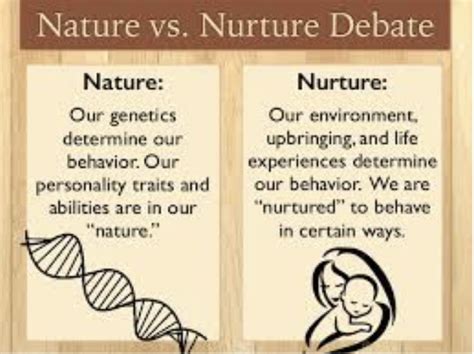 Unit Biological Bases Of Behavior Flashcards Quizlet