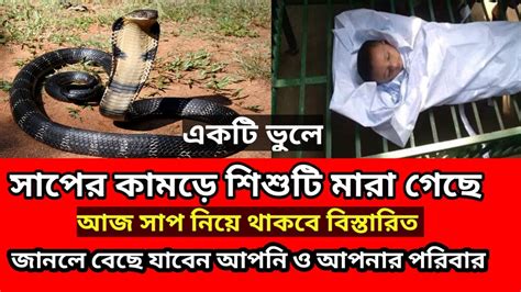 ভিডিও টি দেখলে সাপ সম্পর্কে পূর্ণ ধারণা জেনে যাবেন সাপে কামড়ালে ও