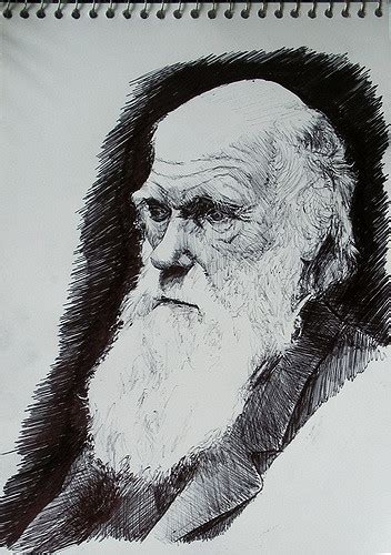 Charles Darwin Sketches At Explore Collection Of