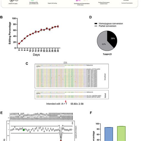 Modelling Of Sickle Cell Mutation In Human Erythroid Cells Using Prime