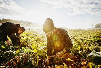 Ancient Farming - Concepts, Techniques, and Experiments