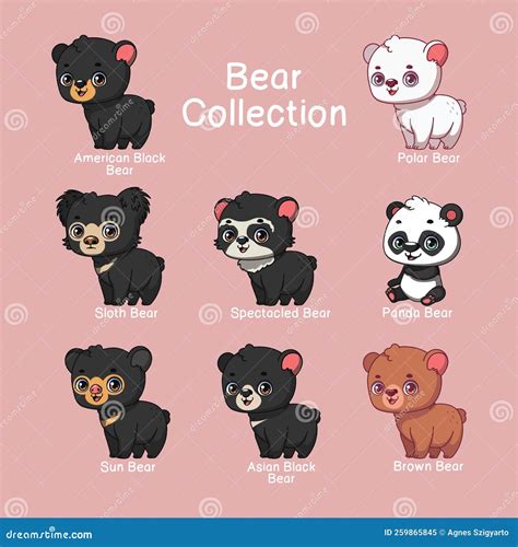 Collection of Bear Species with Name Text Stock Vector - Illustration ...