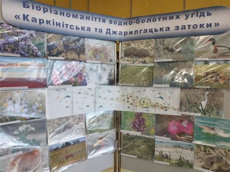 Фотовиставка до Дня ВБУ « Національний природний парк «Джарилгацький»