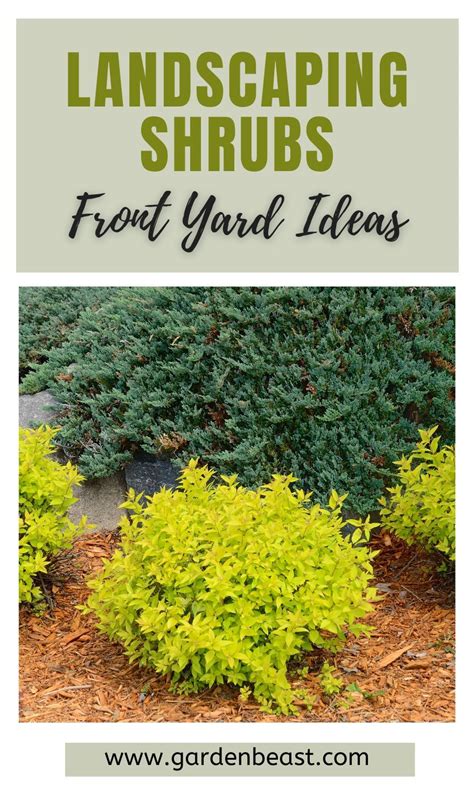 10 Landscaping Ideas for Bushes in Front of Your House