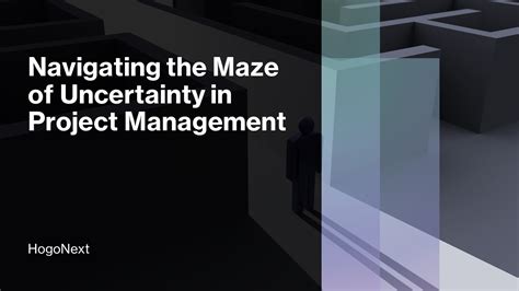 Navigating The Maze Of Uncertainty In Project Management Hogonext