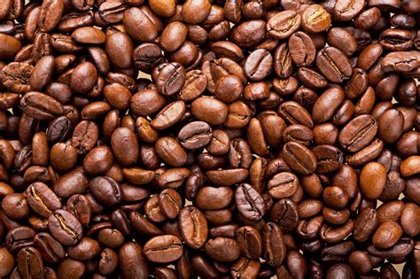 What Is Arabica Coffee