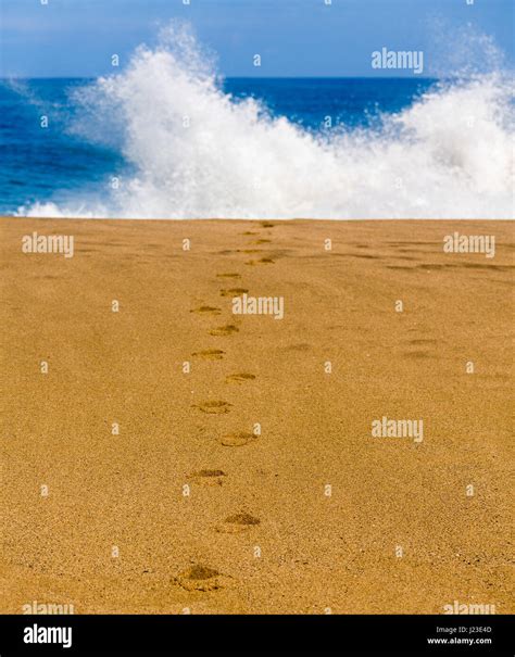 Footprints In The Sand On A Beach Leading Towards The Sea With Waves