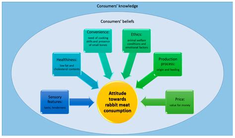 Sustainability Free Full Text Rabbit Meatproduction Consumption