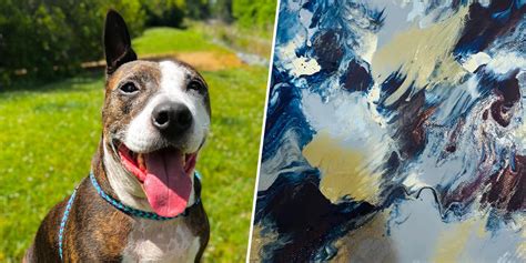 One Eared Rescue Dog Van Gogh Paints His Way Into Adoption