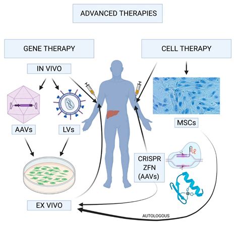 Gene Therapy Hemophilia