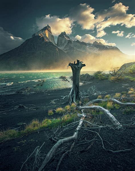 The Rocket Pyrography By Max Rive Fine Art America