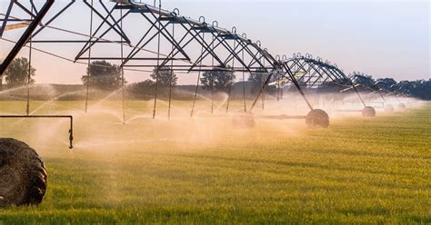 Pivô central de irrigação entenda as vantagens e desvantagens