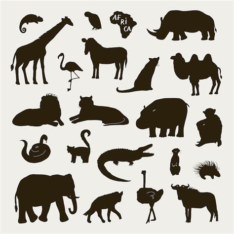 Premium Vector African Animals Vector Silhouette Illustrations Set