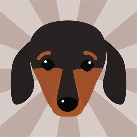 50 Long Haired Wiener Dog Stock Illustrations Royalty Free Vector