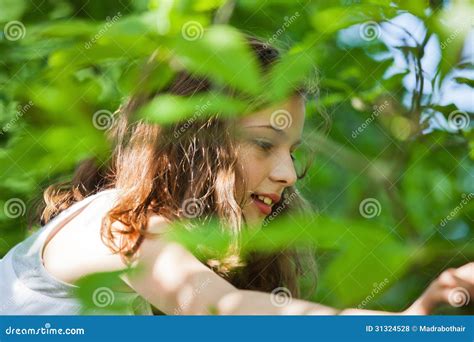 Jeune Fille Dans Un Arbre Photo Stock Image Du Verticale