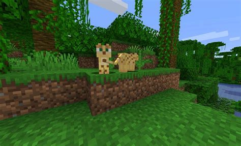 How To Tame An Ocelot In The Minecraft 1 19 Update