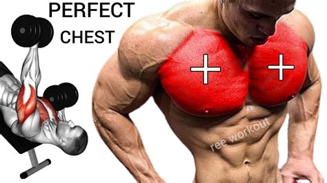 7 Perfect Chest Exercises Ranked For Biggest Chest Youtube