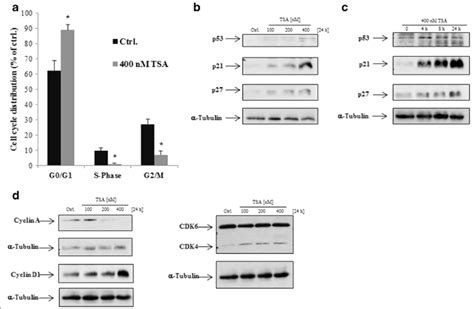 Tsa Induces G0g1 Cell Cycle Arrest In Lecs A Cells Were Incubated