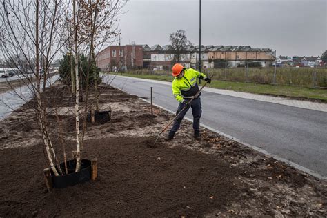 Winderig Niemandsland Herstelt Langzaam In Oude Luister Bomen