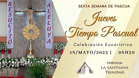 Santa Misa En Vivo H Jueves De Mayo De Sexta Semana De