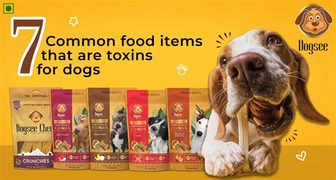 7 Common Food Items That Are Toxic For Dogs Dogsee