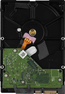 Жесткий диск WD Caviar Blue WD10EZEX, 1ТБ, HDD, SATA III, 3.5" – купить ...