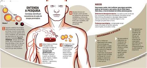 Cientistas descobrem mecanismo que pode melhorar terapia contra câncer