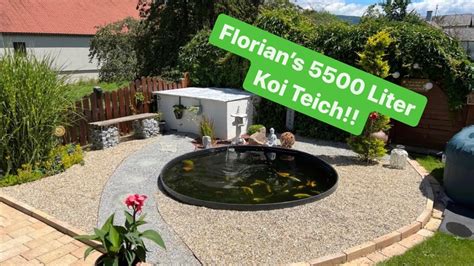 Florians 5500 Liter Koi Teich Mit Alarmierenden Wasserwerten YouTube