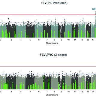 Genome Wide Association Results Gwas Manhattan Plots For A Fev And