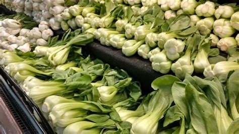 How To Grow Bok Choy From Seed To Harvest Check How This Guide Helps