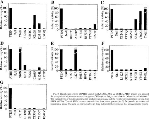 Figure 2 From Functional Evaluation Of PTEN Missense Mutations Using In