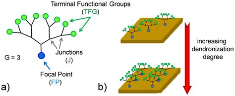 Dendronization A Useful Synthetic Strategy To Prepare Multifunctional